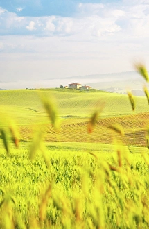 Tour Prints: Early morning in the Val d'Orcia, Tuscany, Italy