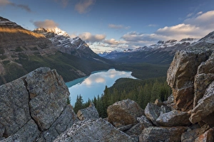 Early morning vista of Peyto Lake in the Canadian Rockies, Banff National Park, Alberta, Canada