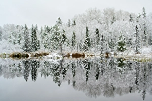 Ponds Prints: Early snow in a beaver pond, Greater Sudbury, Ontario, Canada