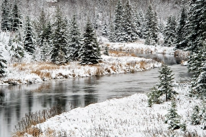 Mixed Forest Prints: Early snowfall on Junction Creek, Greater Sudbury, Ontario, Canada