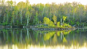 Natural Arch Prints: Early spring reflections in Mud Lake, Greater Sudbury, Ontario, Canada