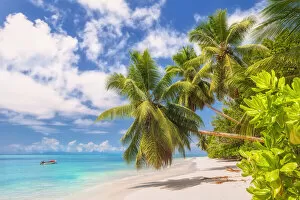 Images Dated 25th February 2021: East Africa, Indian Ocean, Seychelles, Praslin Island, Tropical palm beach