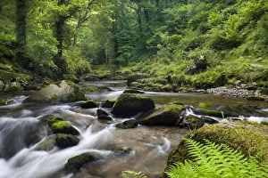 East Lyn River at Watersmeet, Exmoor National Park, Devon, England. Summer (August) 2009