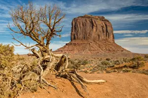 East Mitten Butte, Monument Valley Navajo Tribal Park, Arizona, USA