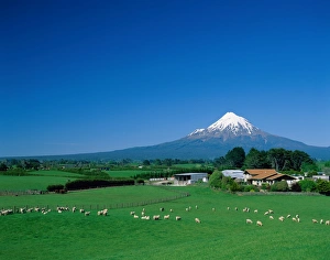 Egmont National Park / Mt