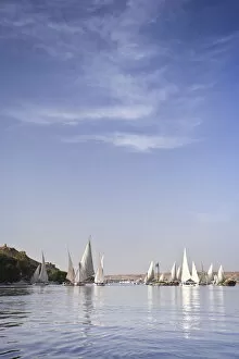 Images Dated 23rd February 2010: Egypt, Aswan, Felucca and Nile River
