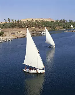 Images Dated 6th November 2008: Egypt, Aswan, Feluccas on the Nile