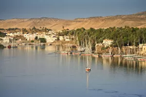 Images Dated 23rd February 2010: Egypt, Aswan, Feluccas and Nile River ad dawn