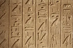 Egypt, Karnak. Hieroglyphics on one of many decorated blocks at Karnak