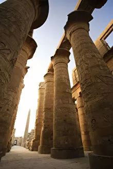Images Dated 23rd February 2010: Egypt, Luxor, Karnak, Temple of Amun, Great Hypostyle Hall