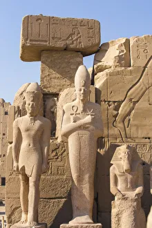 Images Dated 12th June 2017: Egypt, Luxor, Karnak Temple, Colossi in Temple of Amun