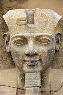 Images Dated 13th June 2017: Egypt, Luxor, Luxor Temple, Ramses IIs head