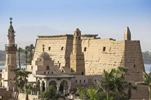 Images Dated 12th June 2017: Egypt, Luxor, View of Luxor Temple and The ancient mosque of Abu Al Haggag