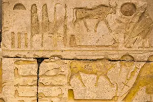 Egypt, Luxor, West Bank, the Temple of Ramessess 11 known as The Ramesseum