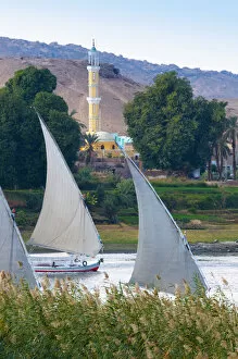 Images Dated 5th January 2011: Egypt, Upper Egypt, Aswan, River Nile