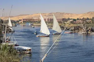 Felucca Prints: Egypt, Upper Egypt, Aswan, View of The Nile River looking towards Pyramisa Isis Island