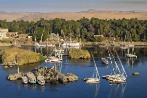 Egypt, Upper Egypt, Aswan, View of The River Nile