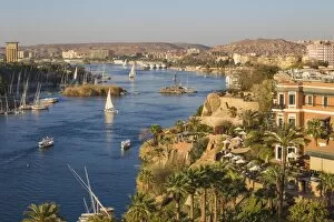 Images Dated 20th March 2017: Egypt, Upper Egypt, Aswan, View of Sofitel Legend Old Cataract hotel and swimming