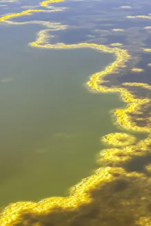 Afar Gallery: Ehtiopia, Dancalia, Danakil depression, Dallol hot water mineral spring