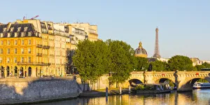 7th Arrondissement Prints: Eiffel Tower & Pont Neuf, Paris, France