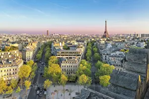 Eiffel Tower Prints: Eiffel Tower and skyline of Paris, Paris, France