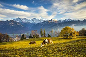 Eiger, Monch & Jungfrau mountains, Berner Oberland, Switzerland