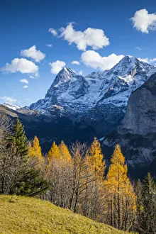 Eiger and Monch from Murren, Berner Oberland, Switzerland