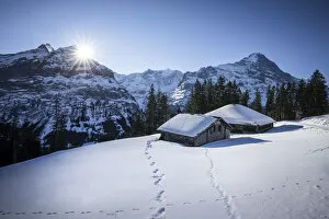 Berner Oberland Collection: Eiger mountain from Bussalp, Grindelwald, Jungfrau Region, Berner Oberland, Switzerland