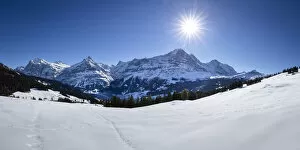 Images Dated 31st January 2022: Eiger mountain from Bussalp, Grindelwald, Jungfrau Region, Berner Oberland, Switzerland
