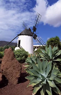 El Molino in Antigua, Fuerteventura, Canary Islands, Spain