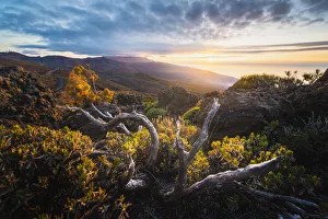 Teide Prints: El Teide National Park, Tenerife, Canary Islands, Spain