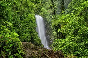 Rain Forest Canopy Prints: El Templo on the La Paz River, Costa Rica