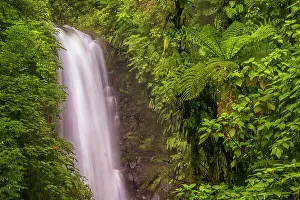 Cascades Prints: El Templo Waterfall on the La Paz River, Costa Rica