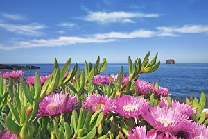 Sicily Prints: Elands sourfig - Italy, Sicily, Messina, Eolian Islands, Stromboli, south shore