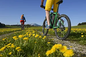 Bikes Collection: Electric cyclists at Erlstatt, Chiemgau, Upper Bavaria, Bavaria, Germany, Europe, MR