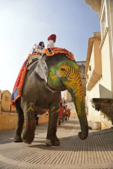 Painted Gallery: Elephant at the Amber Fort, city of Jaipur, Rajasthan, India