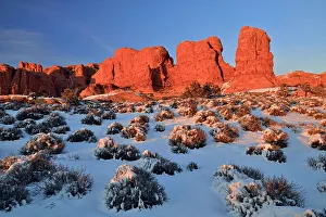 Eroded Prints: Elephant Butte in evening light with fresh snow, Arches National Park, Utah, USA