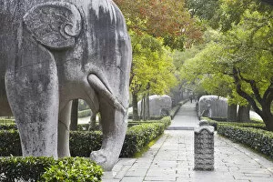 Images Dated 5th January 2011: Elephant statues on Stone Statue Road at Ming Xiaoling (Ming dynasty tomb and UNESCO