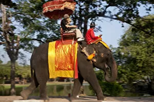 Images Dated 8th December 2010: Elephant tourist rides, Ayutthaya, Thailand