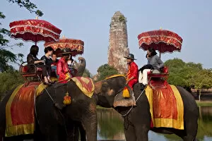 Images Dated 8th December 2010: Elephant tourist rides, Ayutthaya, Thailand