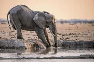 Nxai Pan Prints: Elephant in water, Nxai Pan National Park, Botswana