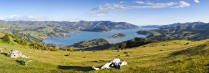 Elevated view over Banks Peninsular, Canterbury, South Island, New Zealand