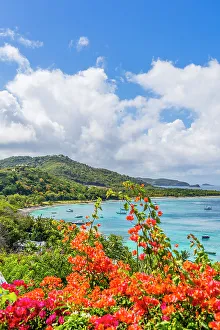 Vincent And The Grenadines Prints: Elevated view over Britania Bay