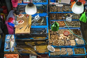 Elevated view of fish stalls, Noryangjin Fish Market, Seoul, South Korea