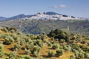 Whitewashed Prints: Elevated view towards the hilltop town of Olvera, Olvera, Cadiz Province, Andalusia