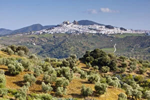 Elevated view towards the hilltop town of Olvera, Olvera, Cadiz Province, Andalusia