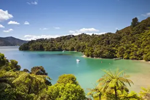 Elevated view over Picturesque Bay in Idyllic Kenepuru Sound, Marlborough Sounds