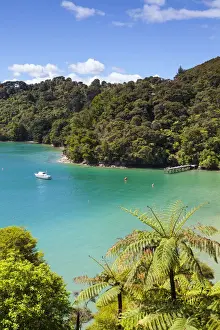 Fern Prints: Elevated view over Picturesque Bay in Idyllic Kenepuru Sound, Marlborough Sounds
