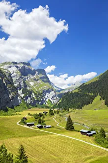Flims Prints: Elevated view of Val Bargis valley in the summer