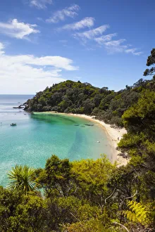 Elevated view over Whale Bay, Tutukaka Coast, Northland, North Island, New Zealand